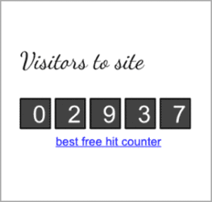 Widget che mostra informazioni sui visitatori del sito.